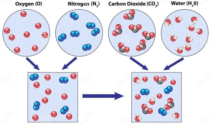 Elements compounds and mixtures quiz