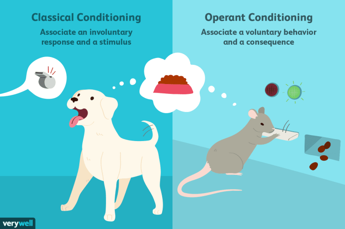 Classical conditioning vs operant conditioning worksheet