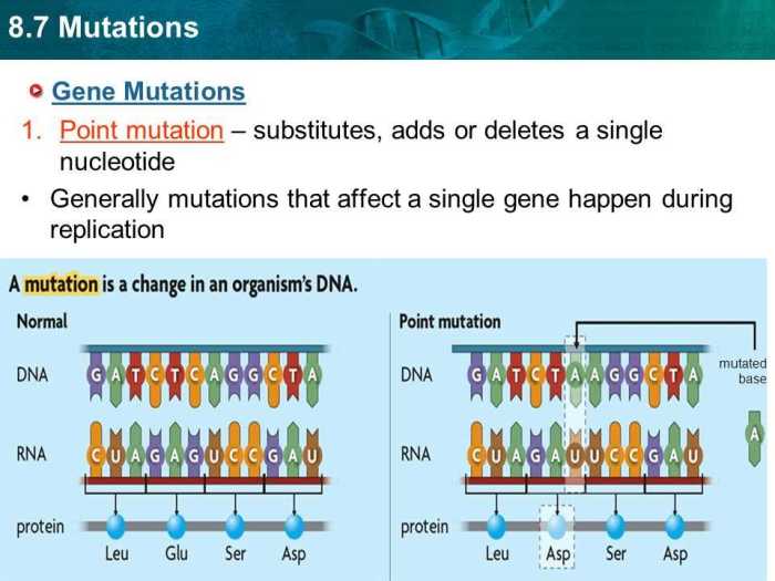 X men genetic mutations worksheet answer key