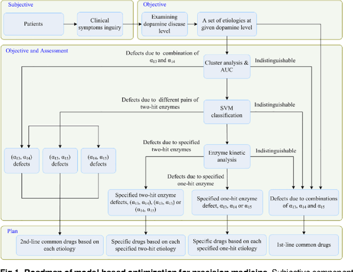 Dopamine overactivity appears to be most clearly related to: