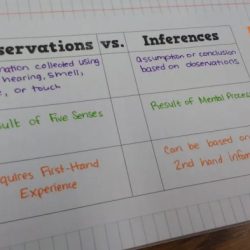 Color by number observations and inferences answer key