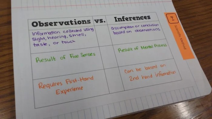 Color by number observations and inferences answer key