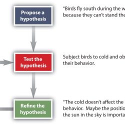 Can you spot the scientific method worksheet answers