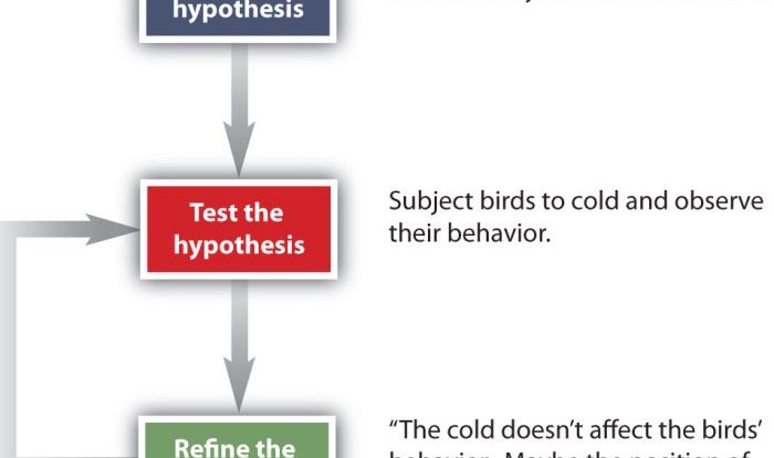 Can you spot the scientific method worksheet answers