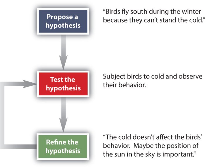 Can you spot the scientific method worksheet answers