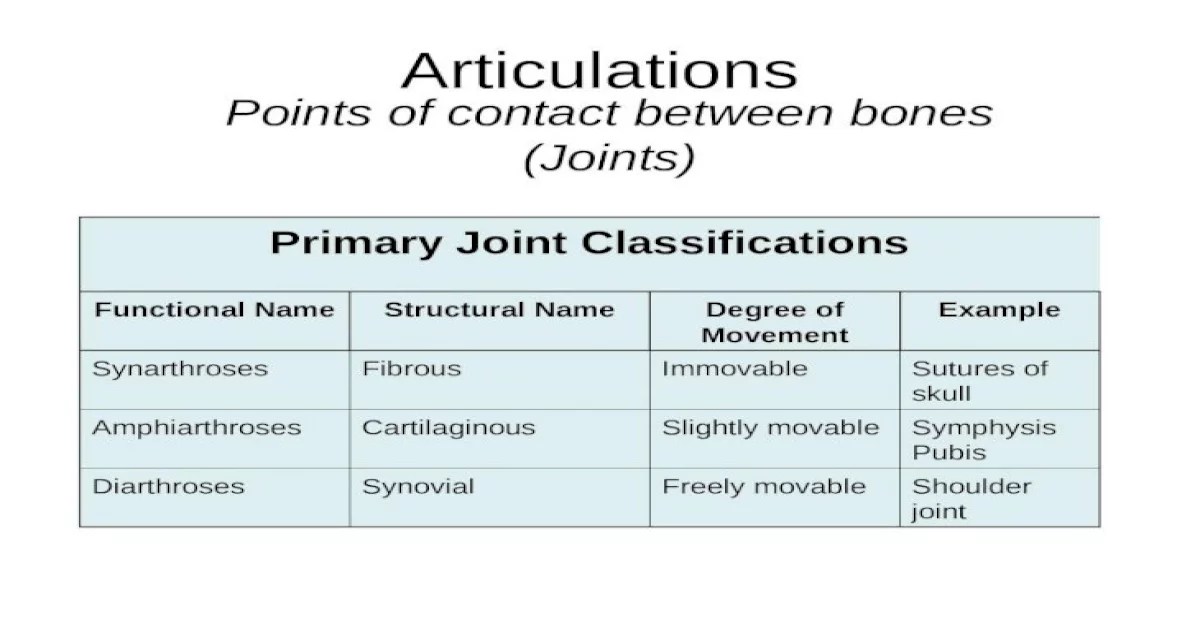 Which statement is true regarding articulations