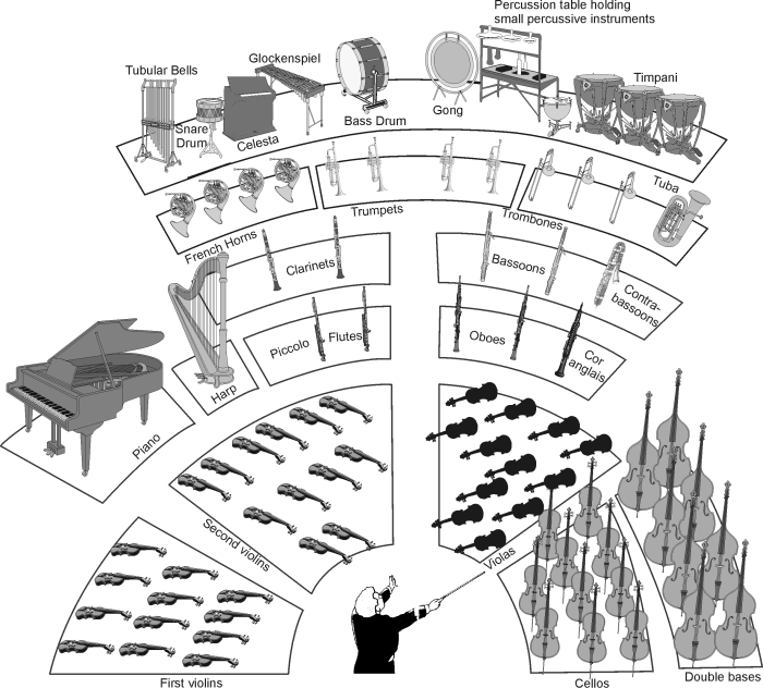 Young person's guide to the orchestra worksheet