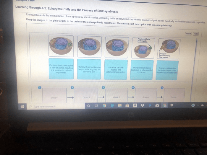 Learning through art eukaryotic cells and the process of endosymbiosis