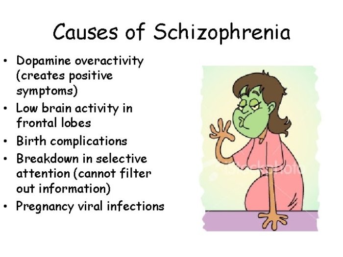 Dopamine overactivity appears to be most clearly related to: