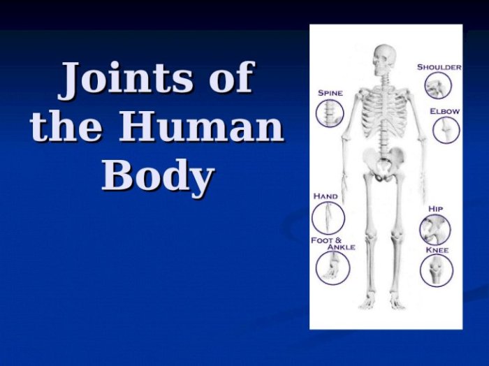 Which statement is true regarding articulations